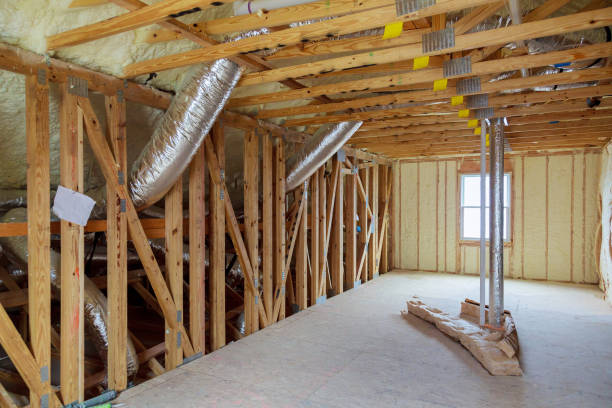 Best Insulation Maintenance and Repair in Graniteville, SC