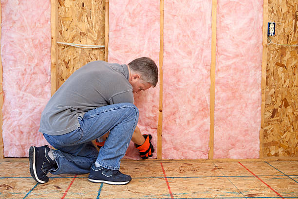 Best Geographic-Specific Insulation Services in Graniteville, SC