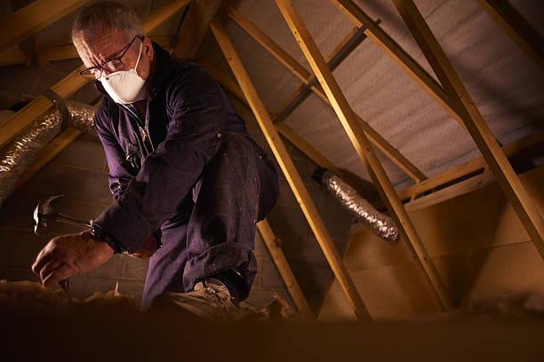 Best Specialized Insulation Services in Graniteville, SC