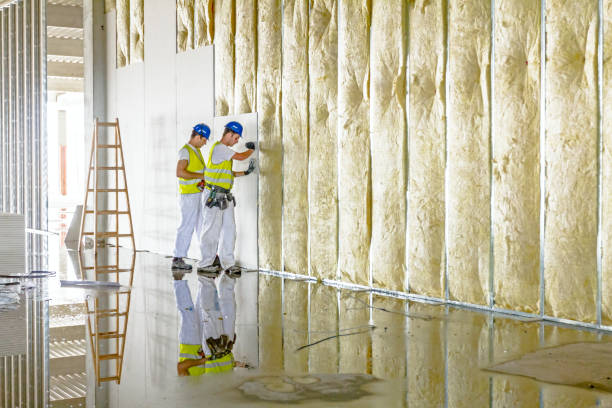 Best Eco-Friendly Insulation in Graniteville, SC